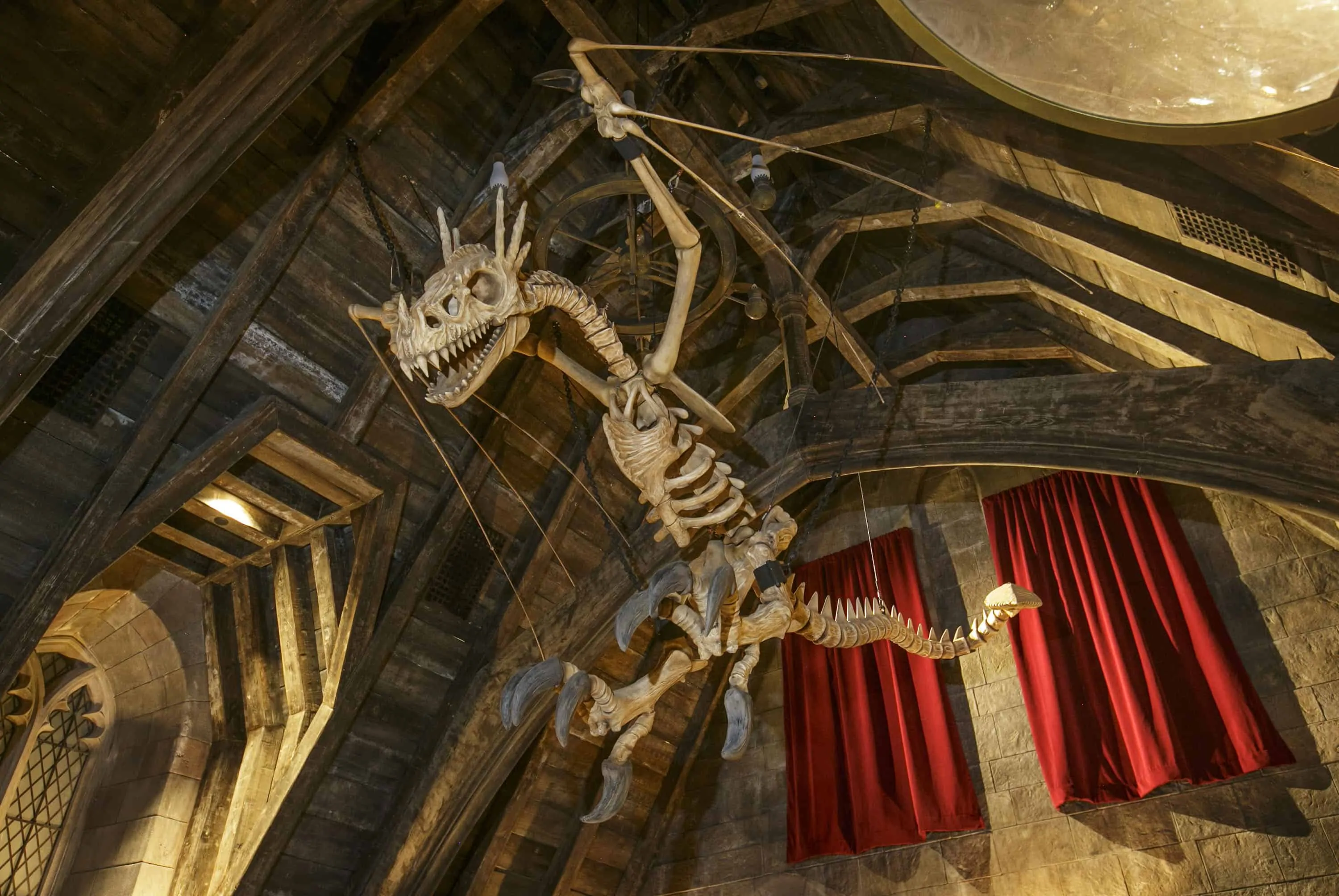 A dragon skeleton located inside the Defence Against the Dark Arts classroom within Hogwarts castle